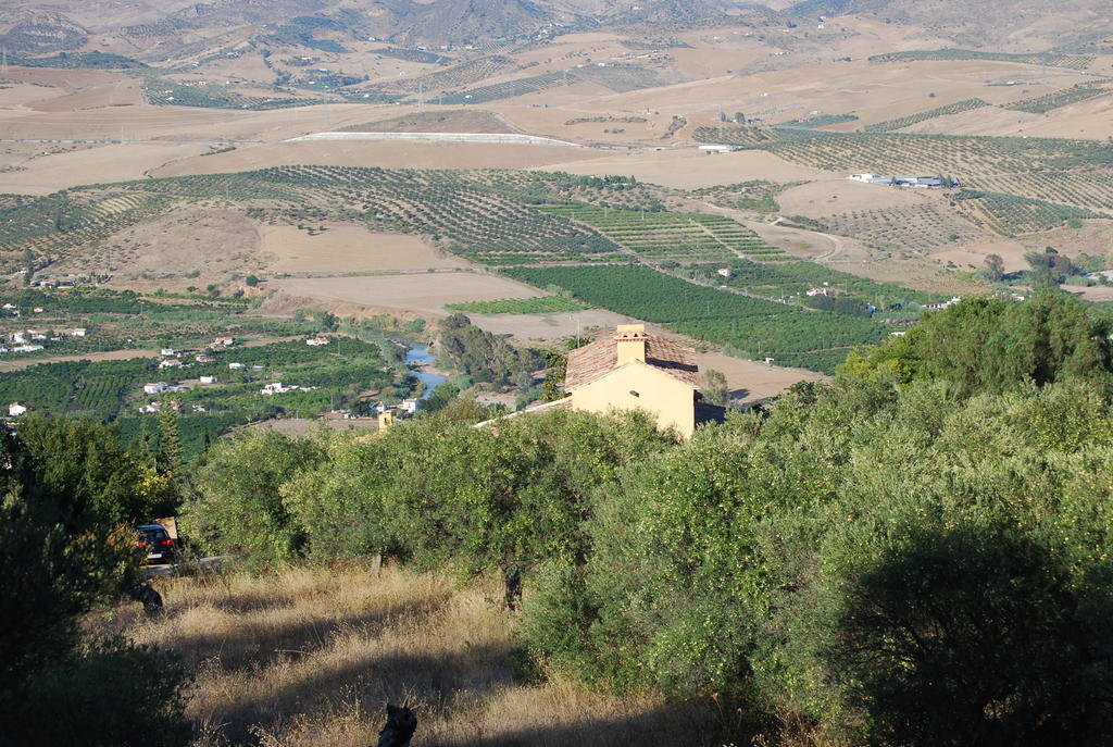 Hidden Valley Andalucia Alora Dış mekan fotoğraf